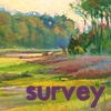 Survey