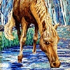 Fire, Water, Earth, Air
International Juried Exhibition

March 7 - May 20,
2011