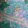 Flowers / Wind