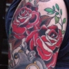Roses