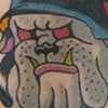 Bulldog