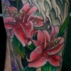 Flowers / Water