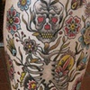 Skeleton Plant/Flowers
