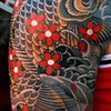Koi