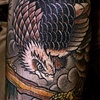 Hawk