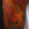 Koi