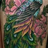 Peacock and Flowers