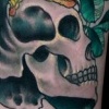 Crow / Skull