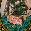 Cat / Frame