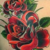 Roses