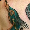 Blue Heron