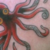 Octo
