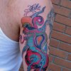 Snake