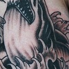Shark