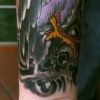 Vulture