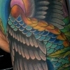 Peacock and Flowers