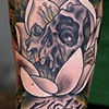 Skull and Lotus