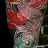 Koi / Phoenix