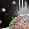 petri dish (detail)