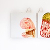 petri dishes 