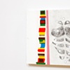 petri dish