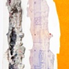 petri dish (detail)