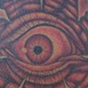 Elephant Sun