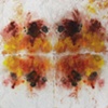 Bio-Blots