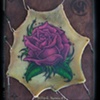 Love Rose
