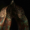 Sacred Archway/Sunken Vessel