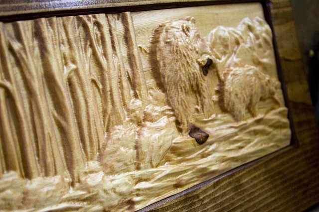 Splash Image