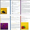Nue Summer Program Mailer