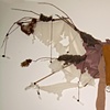 Wings of the Goddess Artemis