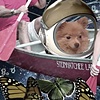 Saturn Returns