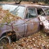 Wreck This Abandon