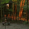 Doyle cabin