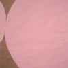 Pink Wings