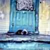 Porch Puppy ~ 
Santa Cruz, California