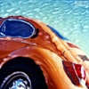 Submerged Volkswagen 
