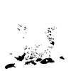 Ghazil Bird Market Remains 8