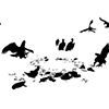 Ghazil Bird Market Remains 9