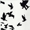 Flutter