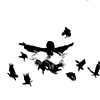 Ghazil Bird Market Remains 7