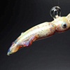 Aquatic Series
10 New Creations for 2010!