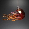 Jellyfish Series
New for 2010!