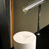 Transmutation