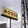 Moose