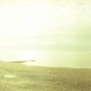 brighton pier