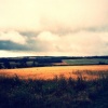 canterbury field