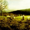 wales